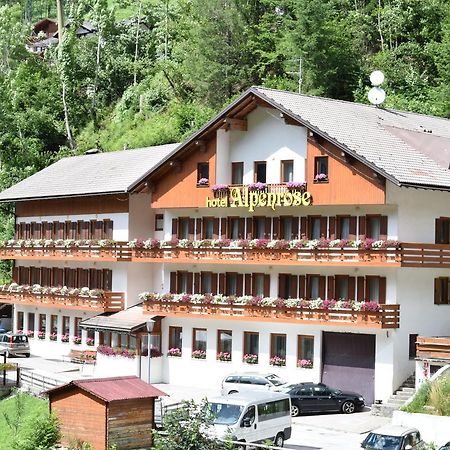 Hotel Alpenrose Alleghe Zewnętrze zdjęcie