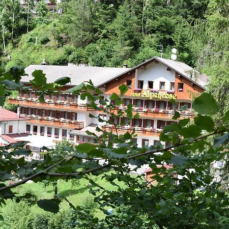 Hotel Alpenrose Alleghe Zewnętrze zdjęcie